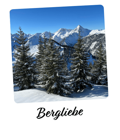 Foto von Bäumen in einer Schneelandschaft